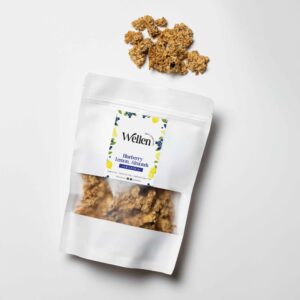 ΓΚΡΑΝΟΛΑ ΜΕ BLUEBERRY "WELLEN"- 250gr